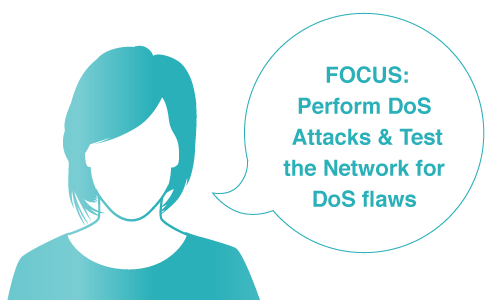 Perform Denial of Service Attacks