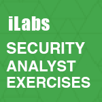 Security Analyst Exercises