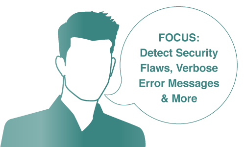 Detect Security Flaws 