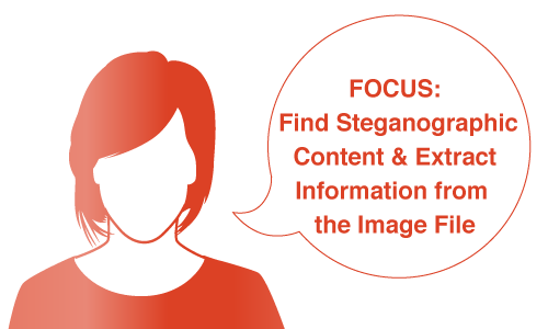 Steganography and Image File Forensics